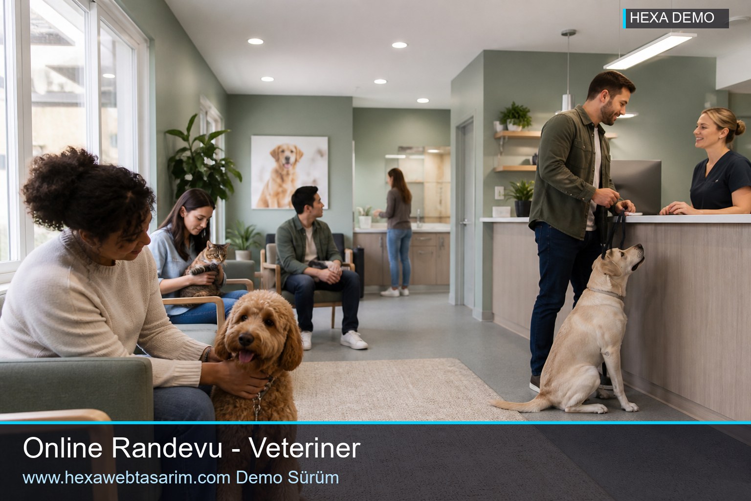 Pawline galeri — Hexa Web Tasarım