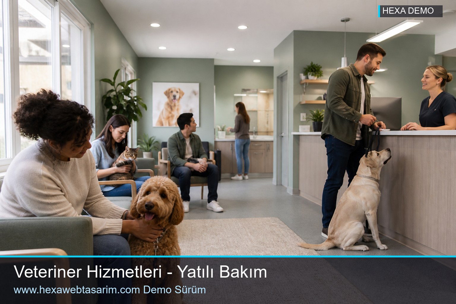 Pawline galeri — Hexa Web Tasarım